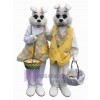 Lapin de Pâques costume de mascotte