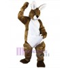 Lapin de Pâques costume de mascotte