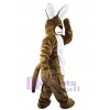 Lapin de Pâques costume de mascotte