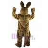 Lapin de Pâques costume de mascotte