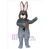 Lapin de Pâques costume de mascotte