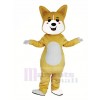 Jaune Chanceux Chien Shiba Inu Akita Mascotte Costume Animal