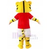 Tigre costume de mascotte