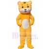 Tigre costume de mascotte