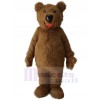 Ours costume de mascotte