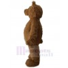 Ours costume de mascotte