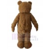 Ours costume de mascotte