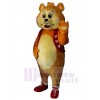 Ours costume de mascotte