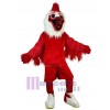 Oiseau costume de mascotte
