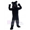 Chien costume de mascotte