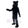 Chien costume de mascotte