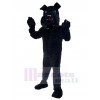 Chien costume de mascotte