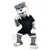 Chien costume de mascotte