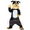 Chien costume de mascotte