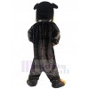 Chien costume de mascotte