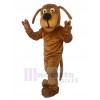 Chien costume de mascotte