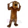 Chien costume de mascotte