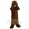 Marmotte costume de mascotte