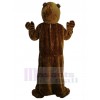 Marmotte costume de mascotte