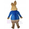 Lapin costume de mascotte