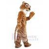 Lion costume de mascotte