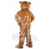 Lion costume de mascotte