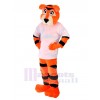 Tigre costume de mascotte