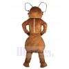 Fourmi costume de mascotte