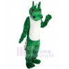 Dragon costume de mascotte