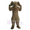 Éléphant costume de mascotte