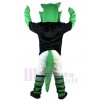 Crocodile costume de mascotte