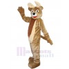 Cerf costume de mascotte