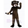 Raton laveur costume de mascotte