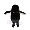 Pingouin Manchot costume de mascotte