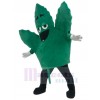 feuille costume de mascotte