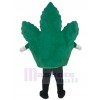 feuille costume de mascotte