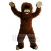 Homme costume de mascotte