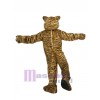 Tigre costume de mascotte