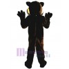 Tigre costume de mascotte