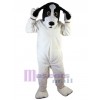 Chien costume de mascotte