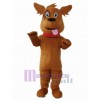 Chien costume de mascotte