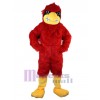 Aigle costume de mascotte