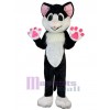 Chat costume de mascotte