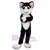 Chat costume de mascotte