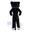 Chat costume de mascotte