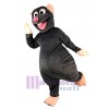 Rat Souris costume de mascotte