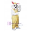 Lapin costume de mascotte