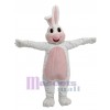 Lapin costume de mascotte