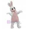 Lapin costume de mascotte