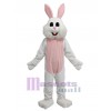 Lapin costume de mascotte